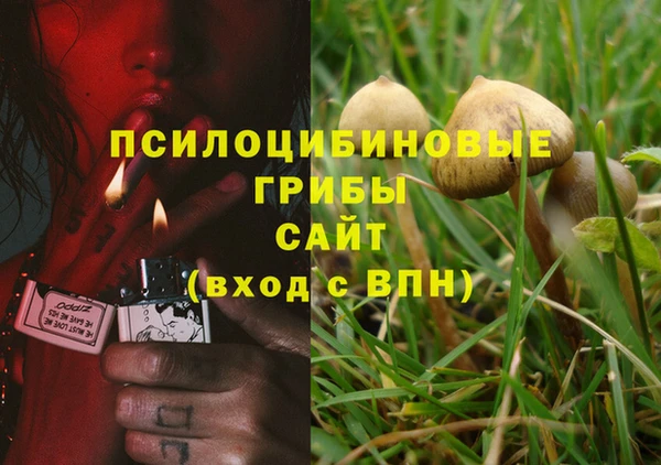 марки lsd Мегион